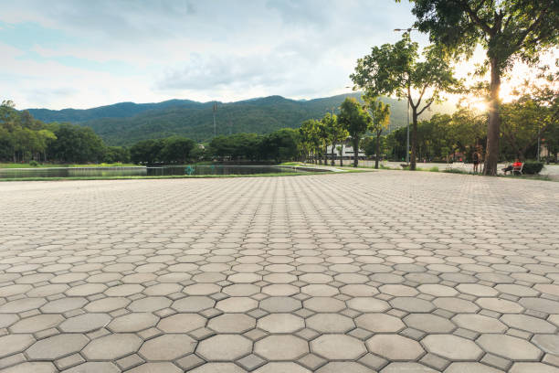 Paver Driveway Replacement in Chevy Chase View, MD