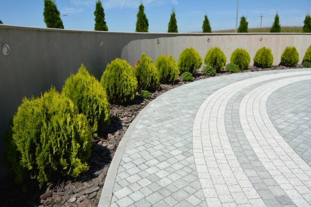 Best Driveway Repair Near Me  in Chevy Chase View, MD